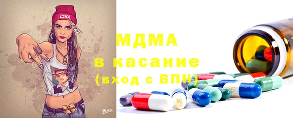 хмурый Арсеньев