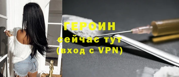 хмурый Арсеньев