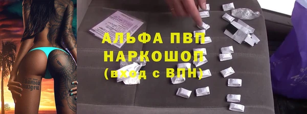 хмурый Арсеньев