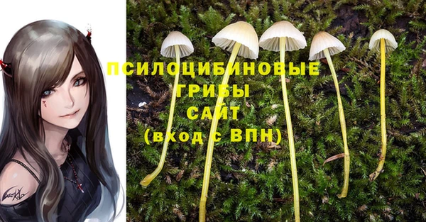 синтетический гашиш Армянск