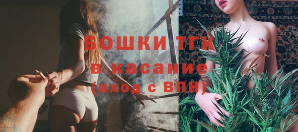 молекула духа Няндома