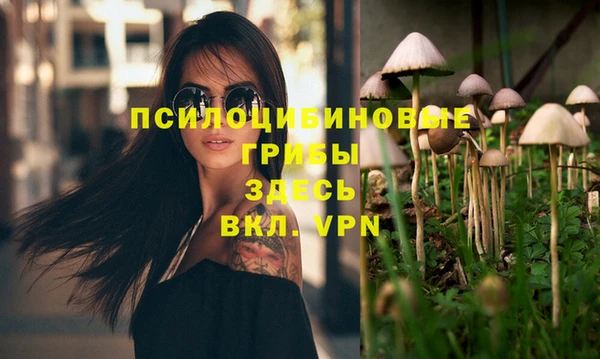 хмурый Арсеньев