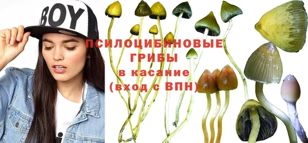 синтетический гашиш Армянск