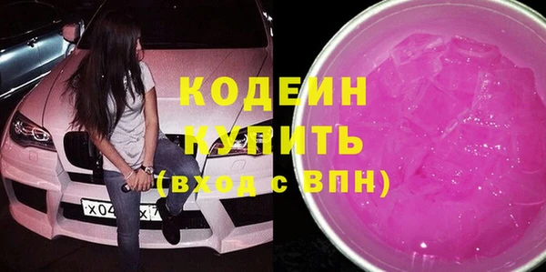 хмурый Арсеньев