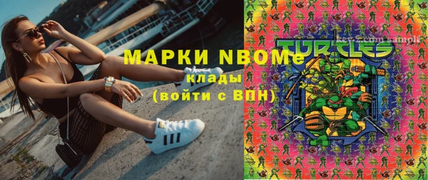 хмурый Арсеньев