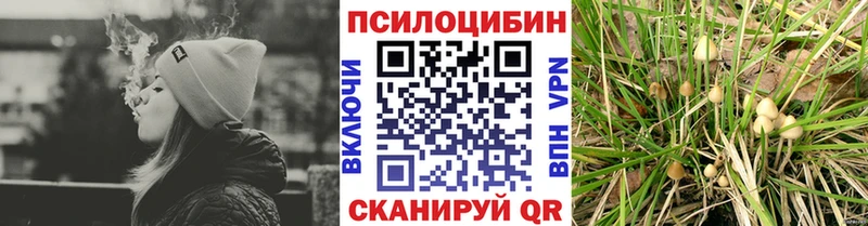 Галлюциногенные грибы Cubensis  mega как зайти  Суворов 